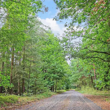Dom wakacyjny Mirow Ot Starsow Schwarz (Mecklenburgische Seenplatte)